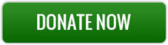 donate-now-button