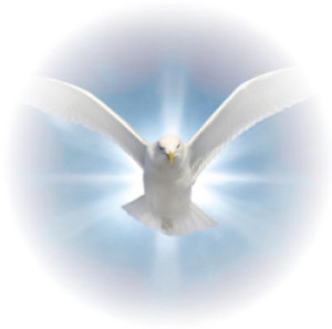 SpiritPowerDOVEsmall