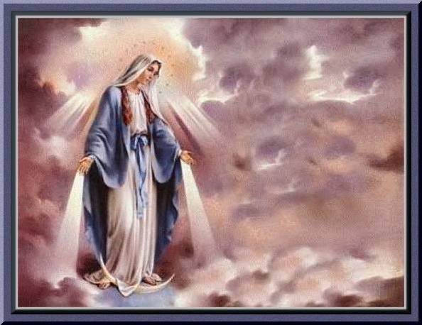 Show my homework our lady queen of peace 06 image