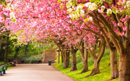 Spring-Colours-edited